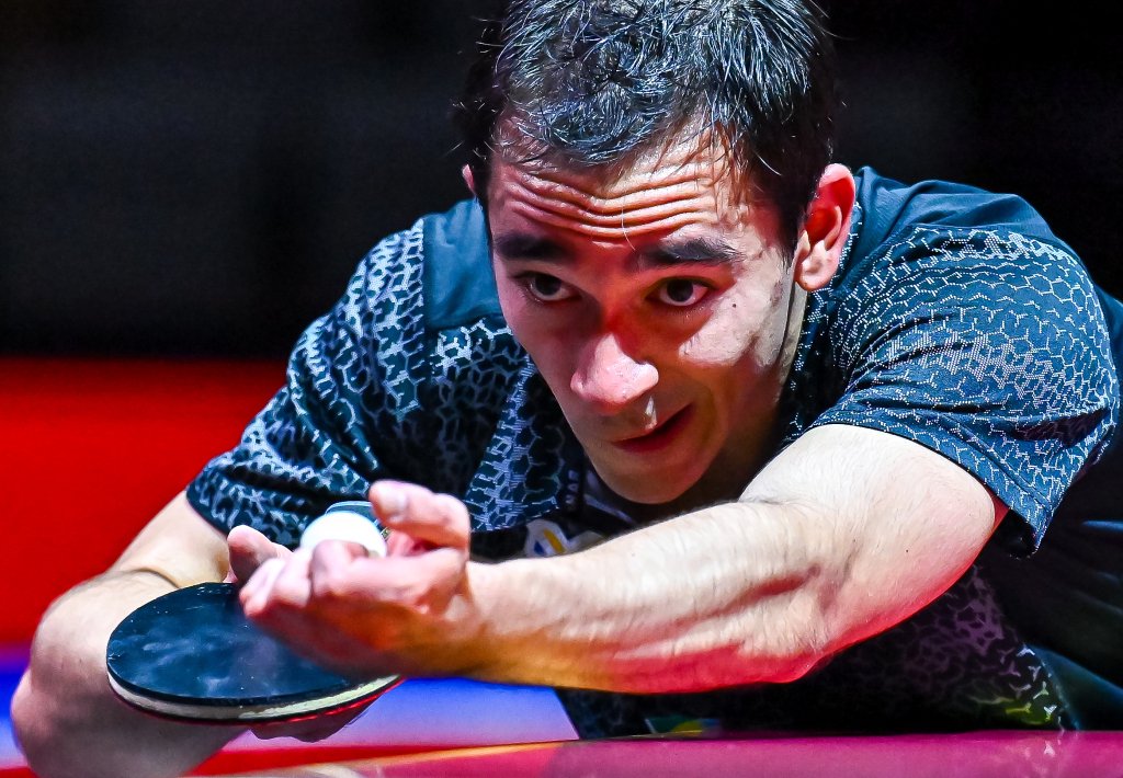 那不勒斯的 那不勒斯的