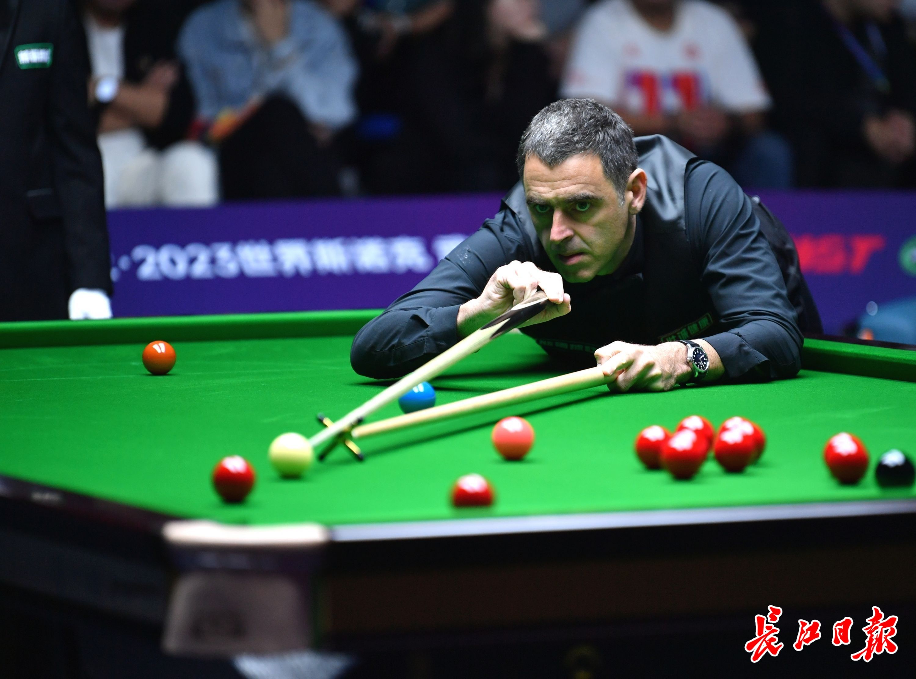 育界的一大 育界的一大